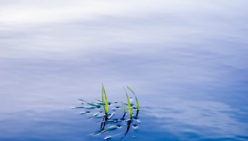 Keeping Your Water Clear